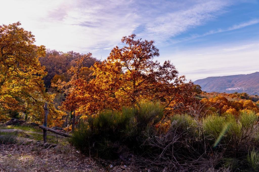 La Canada Del Valle Del Jerte Navaconcejo Luaran gambar